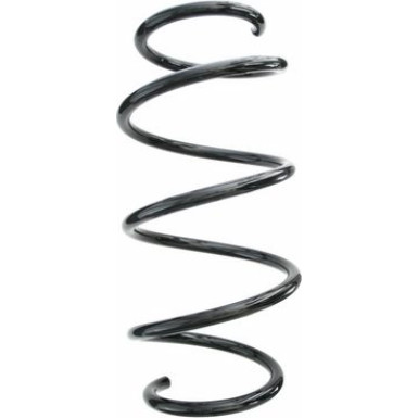 Spidan | Fahrwerksfeder | 87619