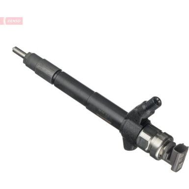 DCRI108110 Einspritzdüse