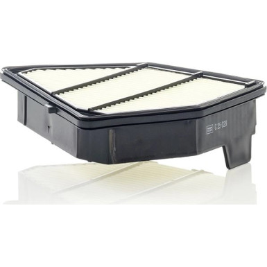 MANN-FILTER C 25 028 Luftfilter