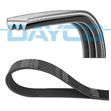 Dayco | Keilrippenriemen | 3PK856EE