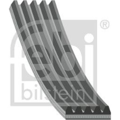 febi bilstein | Keilrippenriemen | 196074
