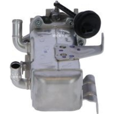 48381 Kühler, Abgasrückführung