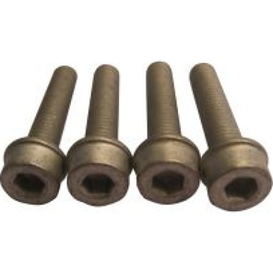 MS17 Schraubensatz, Riemenscheibe-Kurbelwelle