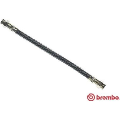 Brembo | Bremsschlauch | T 61 006
