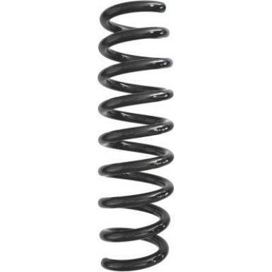 Spidan | Fahrwerksfeder | 87932