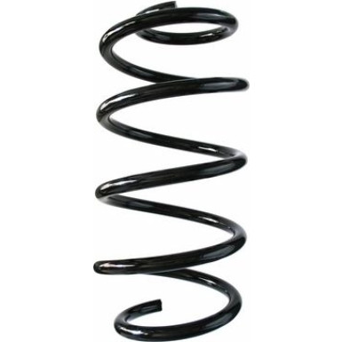 Spidan | Fahrwerksfeder | 87651