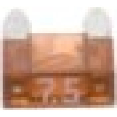 1 987 529 029 Sicherung 1 987 529 029 Sicherung