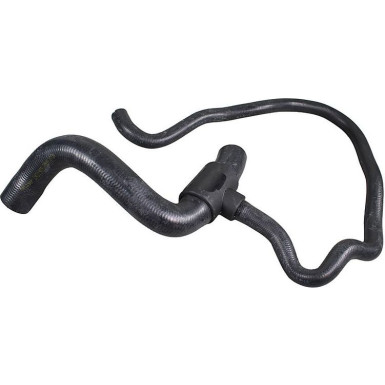 2421989 Kühlerschlauch 2421989 Kühlerschlauch