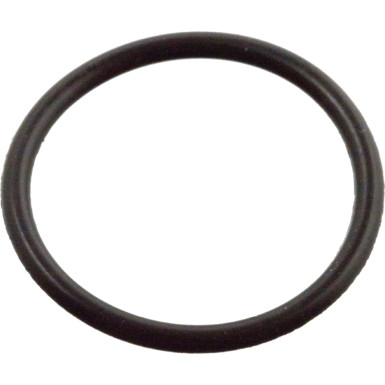 FEBI BILSTEIN 103836 Dichtring, Düsenhalter