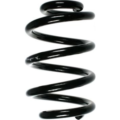 Spidan | Fahrwerksfeder | 55996