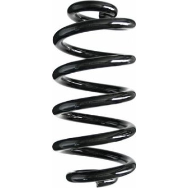 Spidan | Fahrwerksfeder | 87097