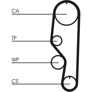 CT557 Zahnriemen