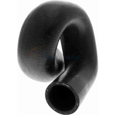 Vaico | Kühlerschlauch | V40-0374