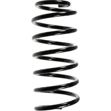 Spidan | Fahrwerksfeder | 49314