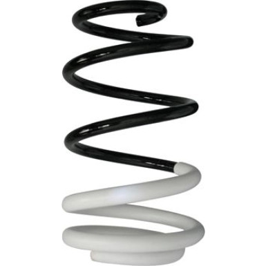Spidan | Fahrwerksfeder | 88008