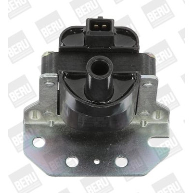 BorgWarner (BERU) | Zündspule | ZS314