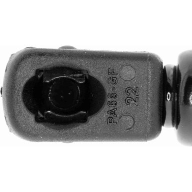 Vaico | Gasfeder, Koffer-/Laderaum | V10-4146