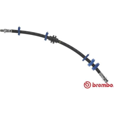 Brembo | Bremsschlauch | T 23 051