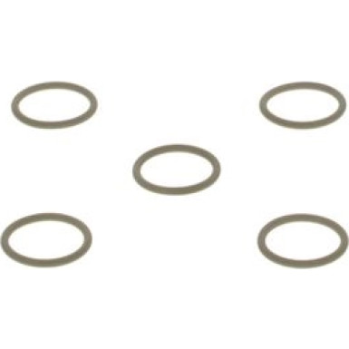 BOSCH | Dichtring | 2 440 210 012