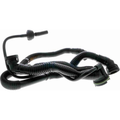 V10-3505 Schlauch, Zylinderkopfhaubenentlüftung Original VAICO Qualität V10-3505 Schlauch, Zylinderkopfhaubenentlüftung Original VAICO Qualität