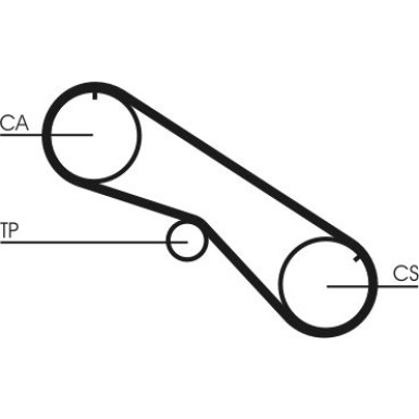 CT818 Zahnriemen