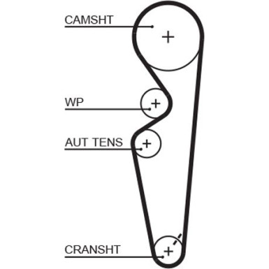 5431XS Zahnriemen PowerGrip™ 5431XS Zahnriemen PowerGrip™