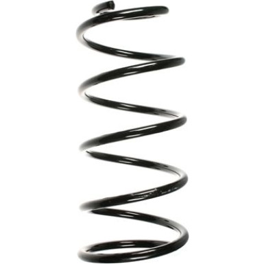 Spidan | Fahrwerksfeder | 49565