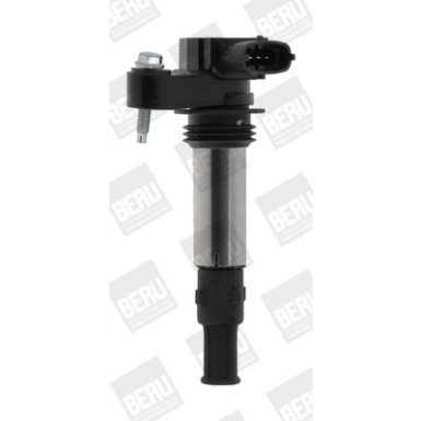 BorgWarner (BERU) | Zündspule | ZSE174