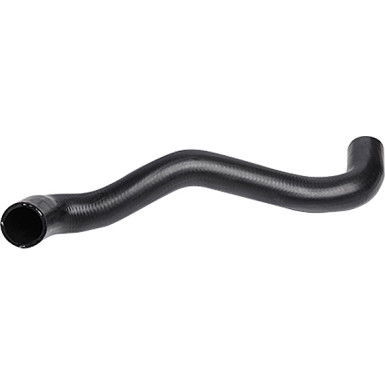 2420062 Kühlerschlauch