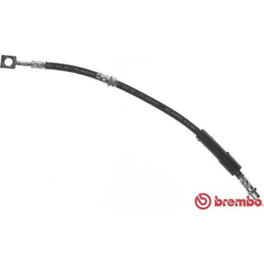 Brembo | Bremsschlauch | T 59 080