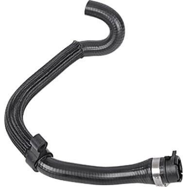 2420293 Heizungsschlauch