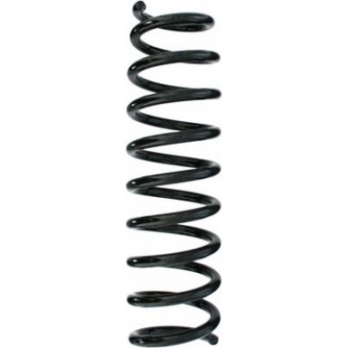 Spidan | Fahrwerksfeder | 87254