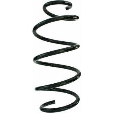 Spidan 2 x SPIDAN Fahrwerksfeder 87553