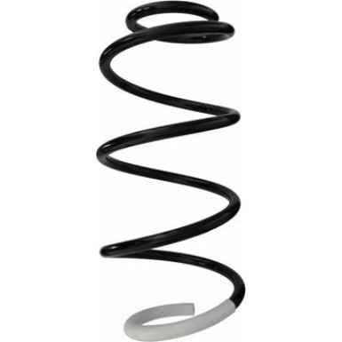 Spidan | Fahrwerksfeder | 87247