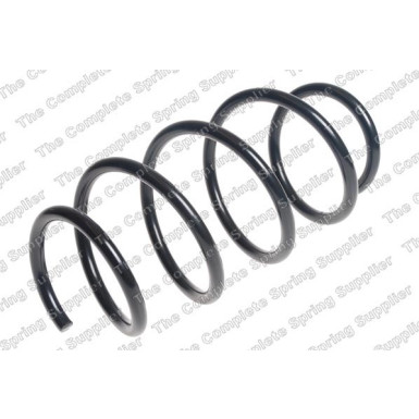 4072996 Fahrwerksfeder