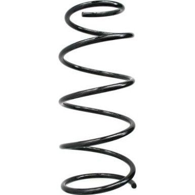 Spidan | Fahrwerksfeder | 49454
