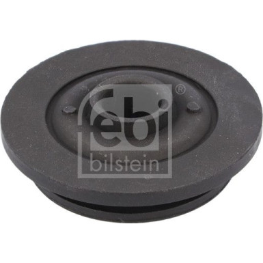 FEBI BILSTEIN 184381 Lagerung, Kühler