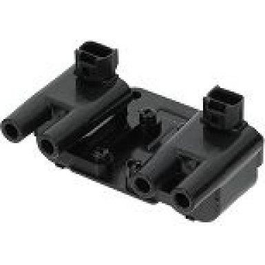 BorgWarner (BERU) | Zündspule | ZS543