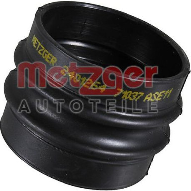 2401264 Ladeluftschlauch