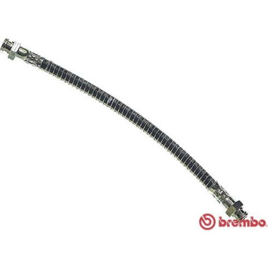 Brembo | Bremsschlauch | T 61 038
