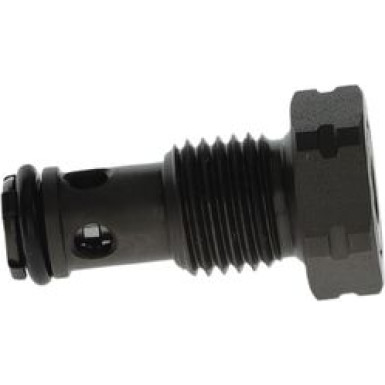 BOSCH | Ventil, Einspritzanlage | F 00N 202 279