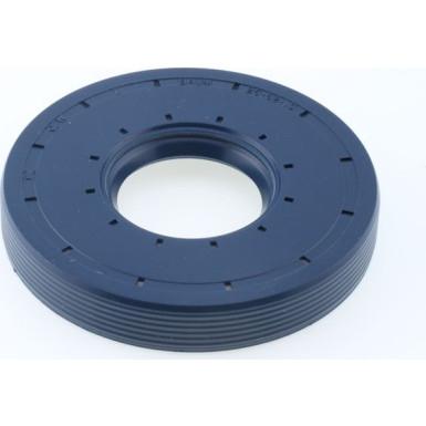 12010863B Dichtring 12010863B Dichtring