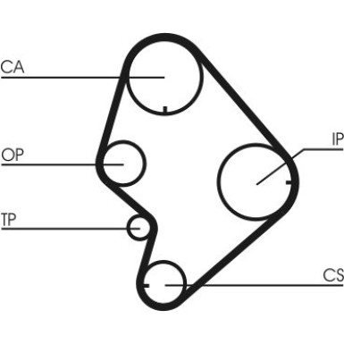 CT723 Zahnriemen