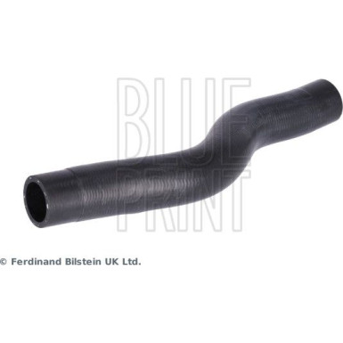 Blue Print | Kühlerschlauch | ADBP930009