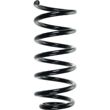 Spidan | Fahrwerksfeder | 56878
