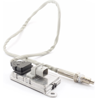 9 2918 1 NOx-Sensor, NOx-Katalysator