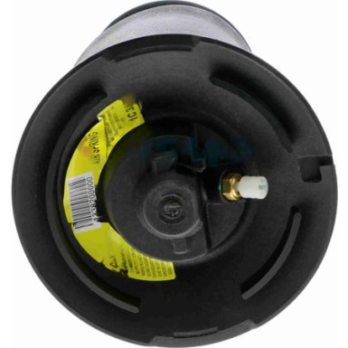 V20-50-0022-1 Luftfederbein Original VEMO Qualität
