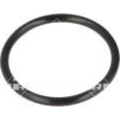 775007 Kühlmittelflansch