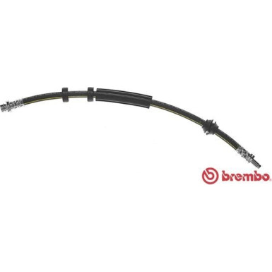 Brembo | Bremsschlauch | T 24 125