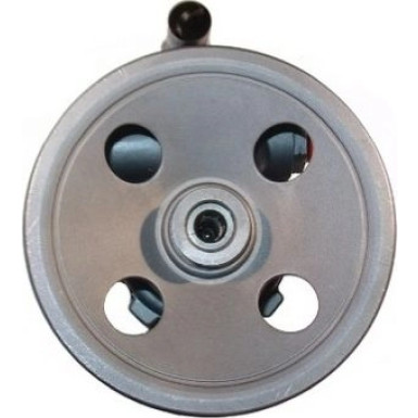 Spidan 2 x SPIDAN Hydraulikpumpe, Lenkung 53966